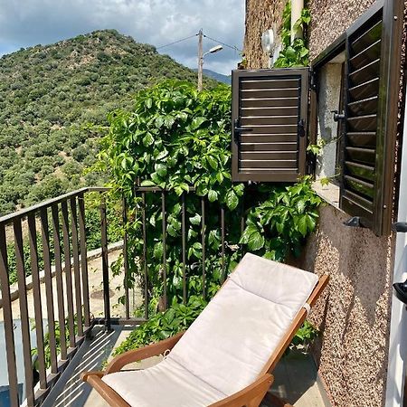 Studio Terrasse Vue Mer Clim Wifi Parking Partinello Экстерьер фото